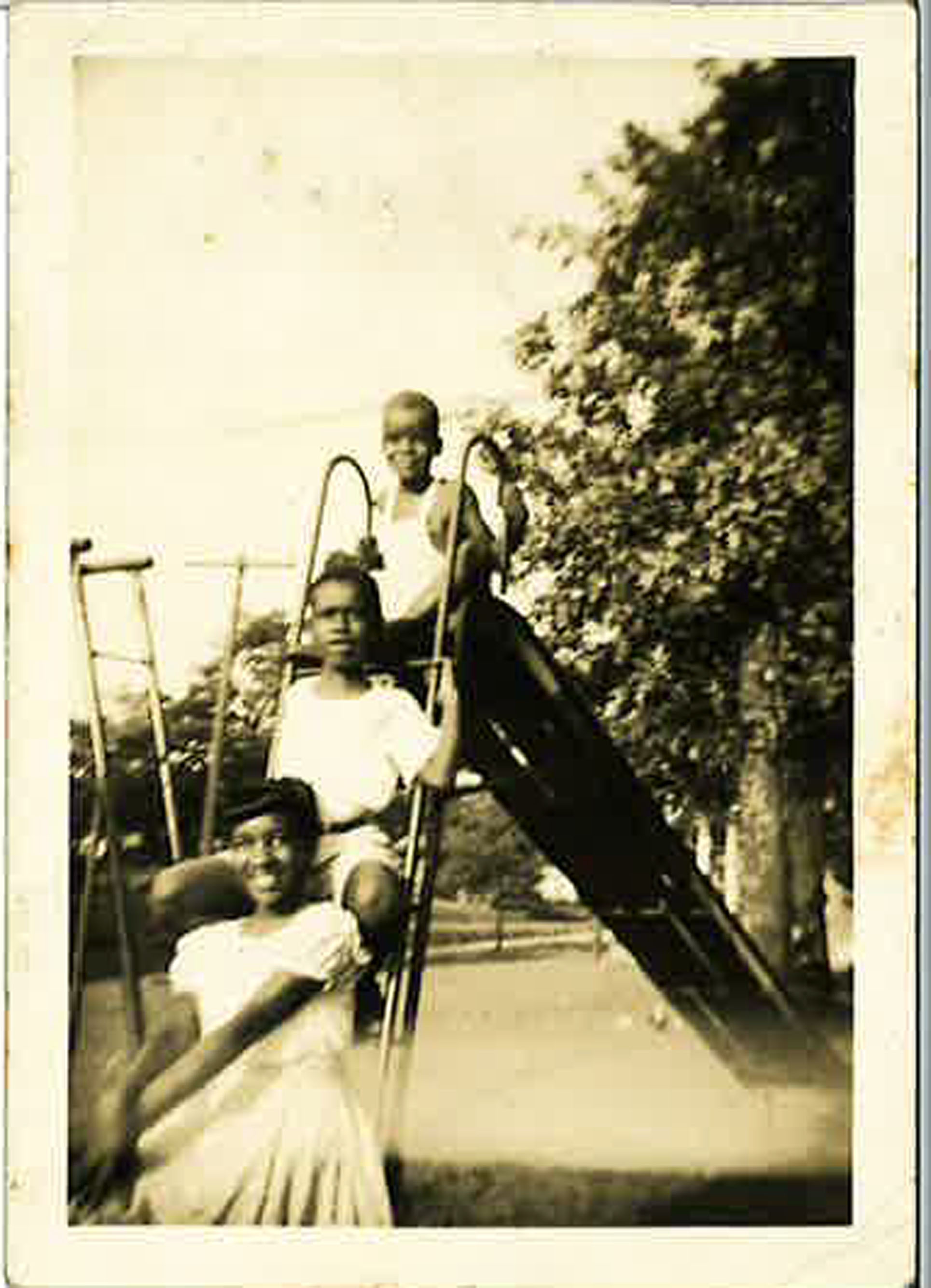 The Green Siblings Green Siblings Project